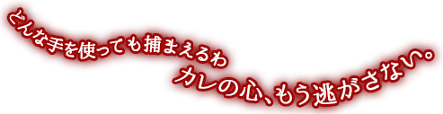 どんな手を使っても捕まえるわ